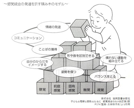 感覚統合の発達を示す積み木のモデル